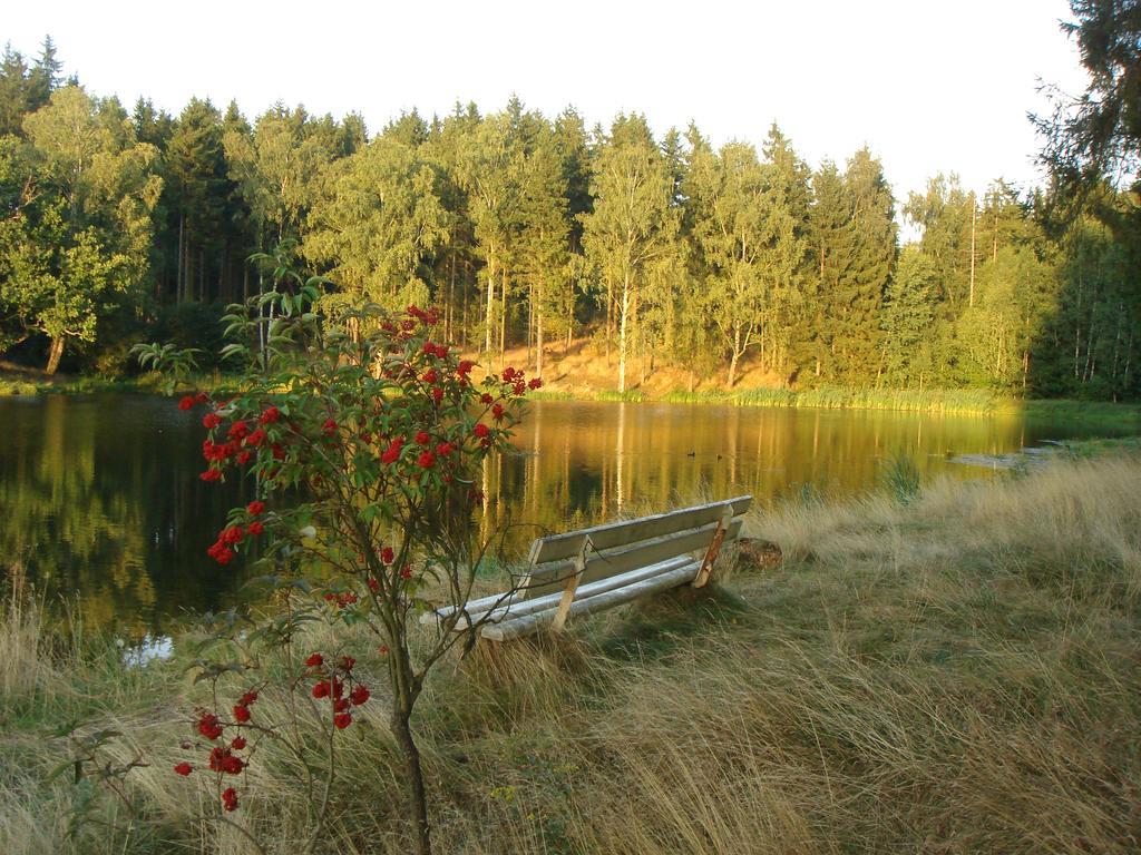 Chalet Harmonie Harzgerode Eksteriør bilde