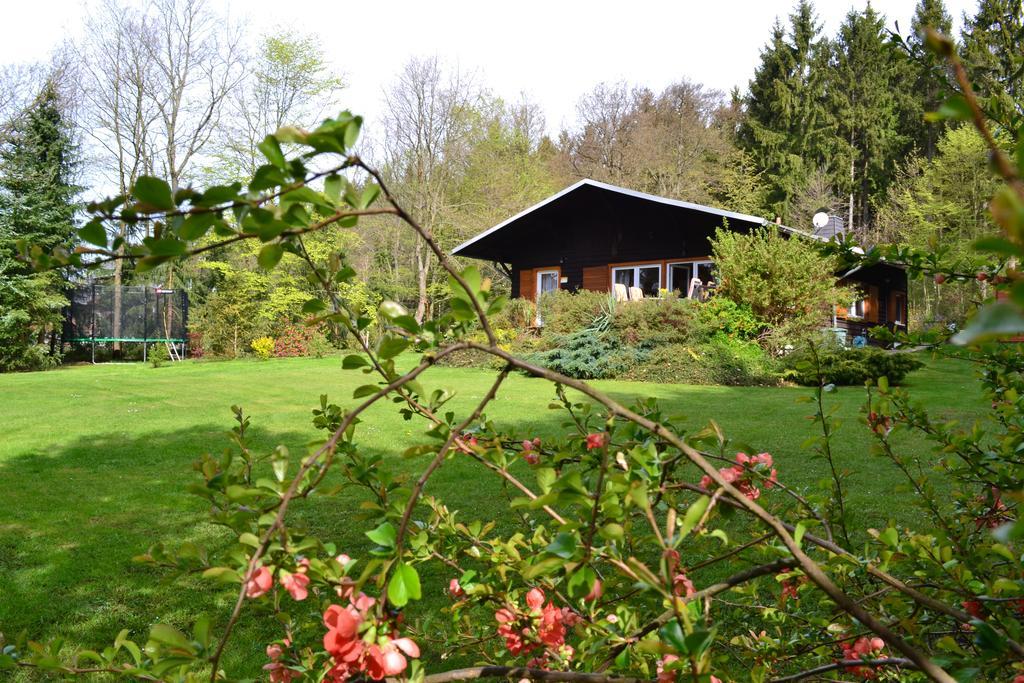 Chalet Harmonie Harzgerode Eksteriør bilde